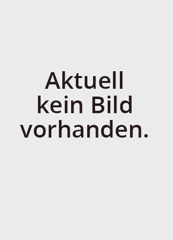 Julian Koch, Außendiensttechniker für Kaminsanierung
